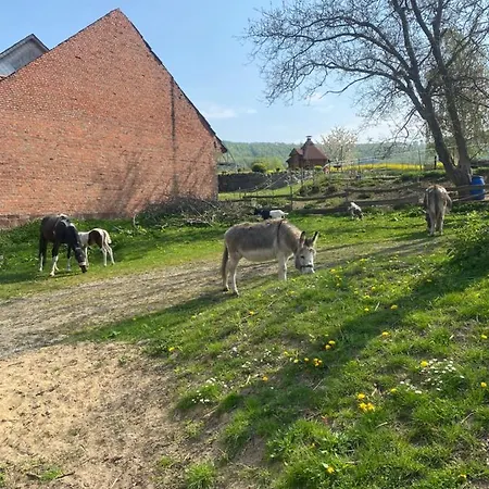 Апартаменты Im Reit- Und Ponyparadies Roos *