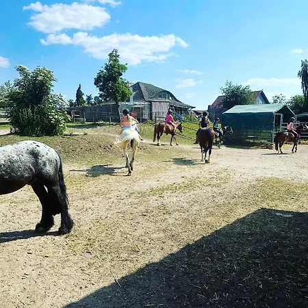 Im Reit- Und Ponyparadies Roos Apartamento Halle (Holzminden)