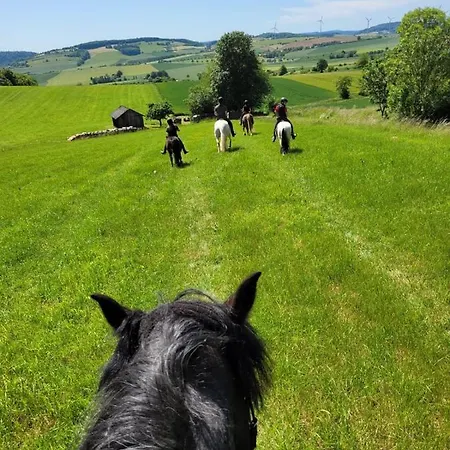 Im Reit- Und Ponyparadies Roos Halle (Holzminden)