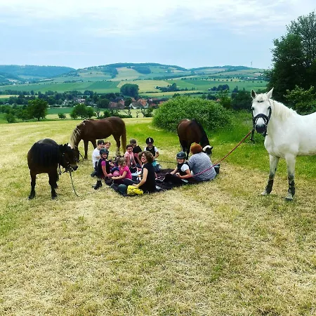 Im Reit- Und Ponyparadies Roos