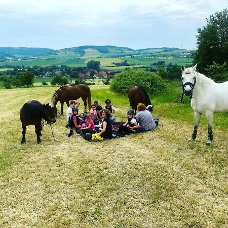 Im Reit- Und Ponyparadies Roos
