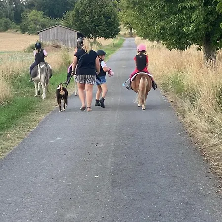 Im Reit- Und Ponyparadies Roos