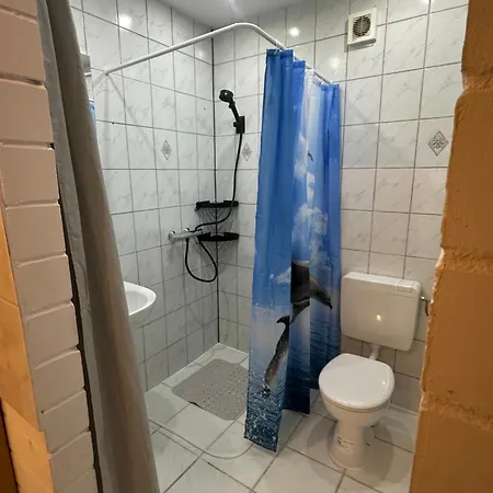 Im Reit- Und Ponyparadies Roos * Halle (Holzminden)
