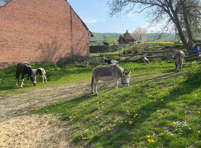 Lägenhet Im Reit- Und Ponyparadies Roos *
