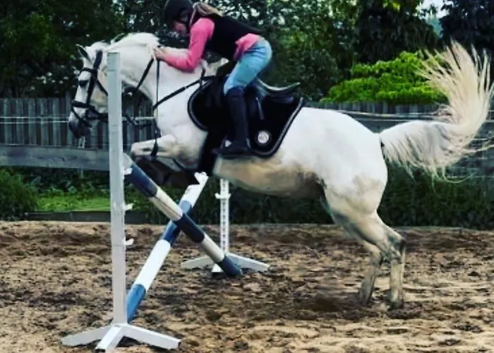Im Reit- Und Ponyparadies Roos Lägenhet