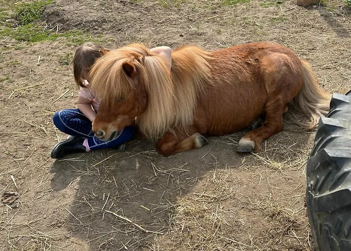 Lägenhet Im Reit- Und Ponyparadies Roos *