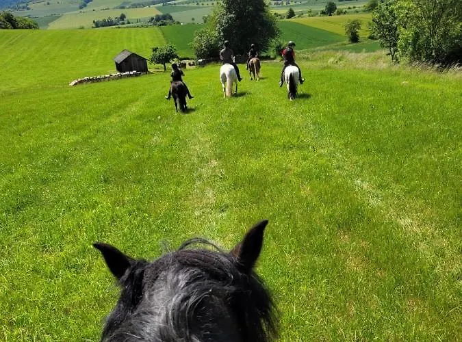 Im Reit- Und Ponyparadies Roos Halle (Holzminden)
