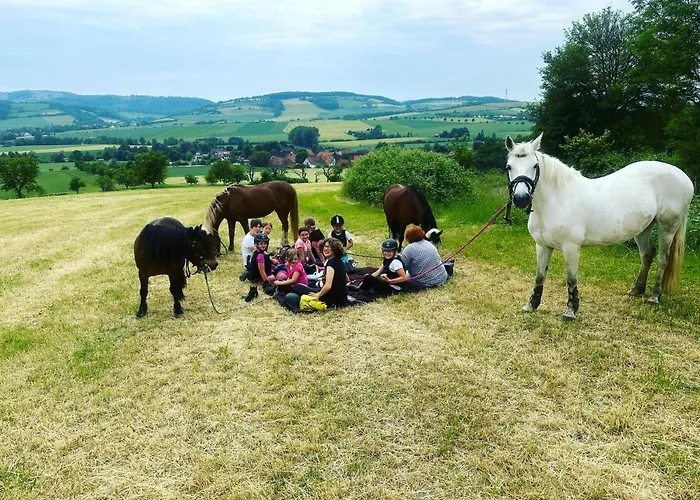 Im Reit- Und Ponyparadies Roos