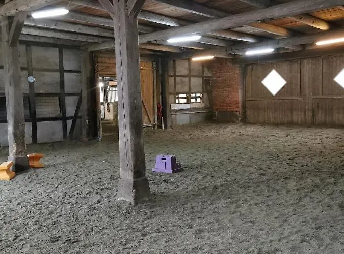 Im Reit- Und Ponyparadies Roos Apartment Halle (Holzminden)
