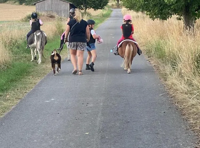 Im Reit- Und Ponyparadies Roos