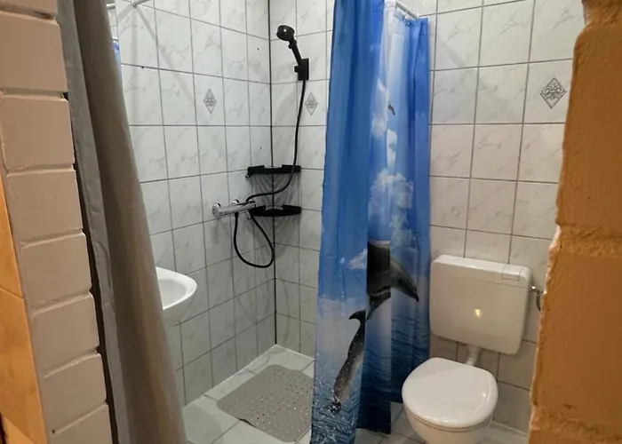 Im Reit- Und Ponyparadies Roos * Halle (Holzminden)