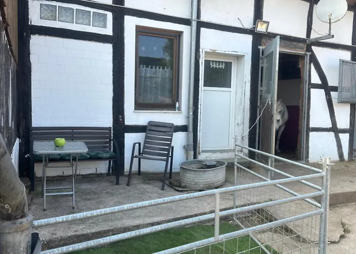 Lägenhet Im Reit- Und Ponyparadies Roos Halle (Holzminden)
